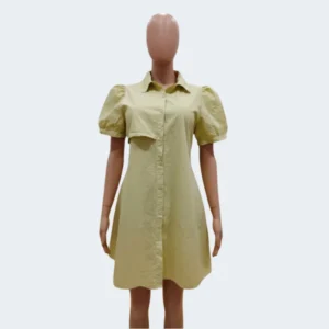 Olive Daylight Shirt Dress